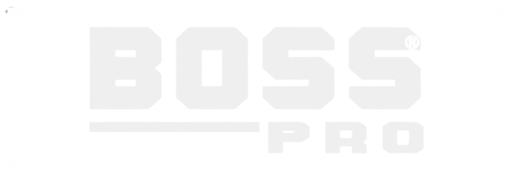 BOSS_P
